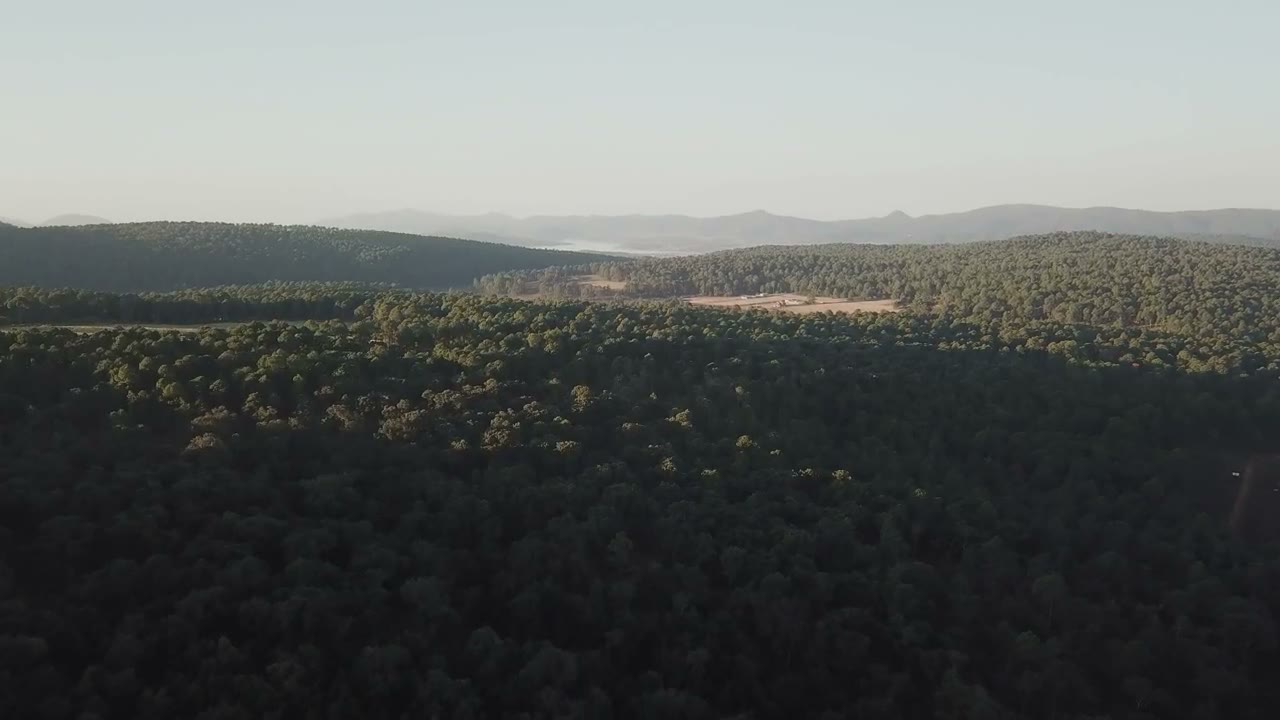 Attività dedicate alla tutela ambientale